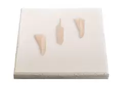 Frozen Chicken Breast Cartilage (Yagen) – Premium Brazilian Export
