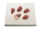 Frozen Chicken Heart – Premium Brazilian Export