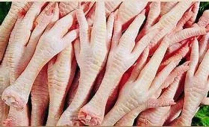Frozen Chicken Paws – Premium Brazilian Export