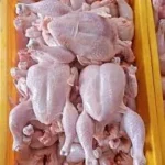 Frozen Whole Chicken Broiler – Premium Brazilian Export