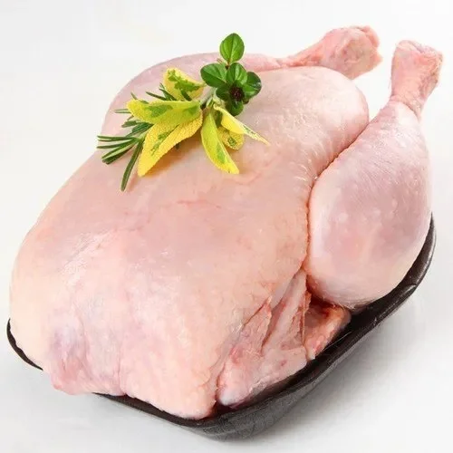Frozen-Whole-Chicken-Griller-–-Premium-Brazilian-Export Frozen Whole Chicken Griller – Premium Brazilian Export - Image 1